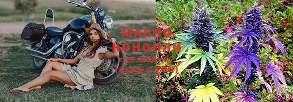 молекула духа Арсеньев
