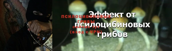 хмурый Абдулино