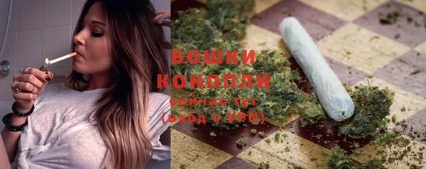 молекула духа Арсеньев